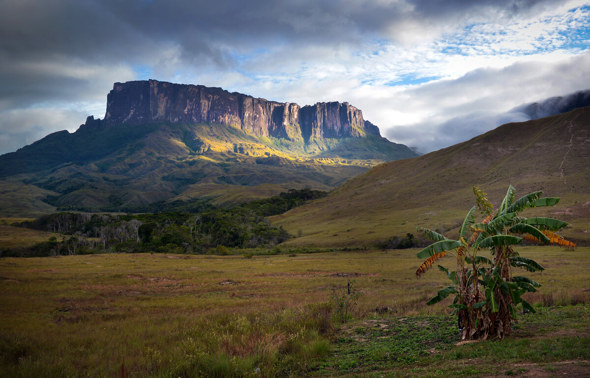 столовые горы рорайма венесуэлы. особенностью гвианского плоскогорья являются крутые склоны. бразильское плоскогорье в бразилии. столовые горы рорайма венесуэлы. гвианское нагорье бразилия.