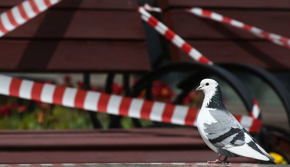 Сергей Фадеичев / ТАСС 