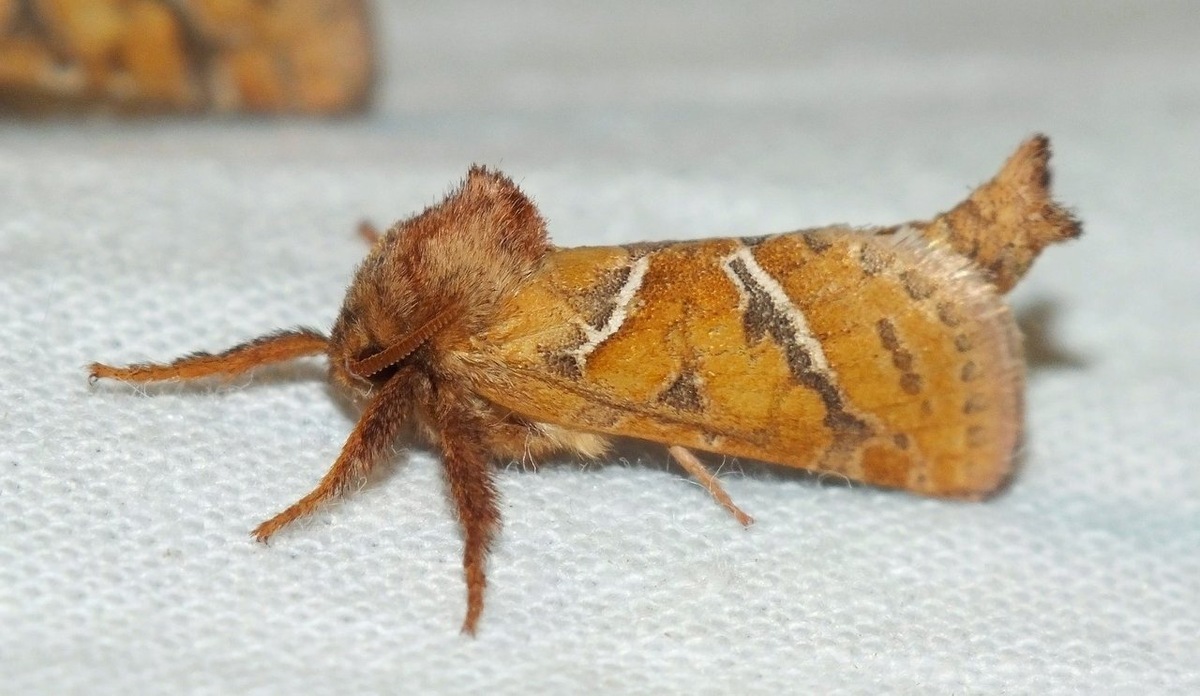 Снимок из личного фотоархива