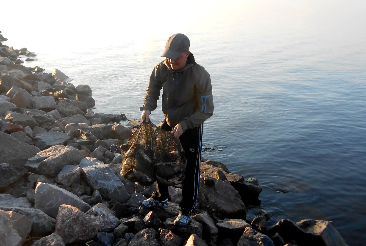 Садок в итоге не выдержал и кольца сломались ((( 