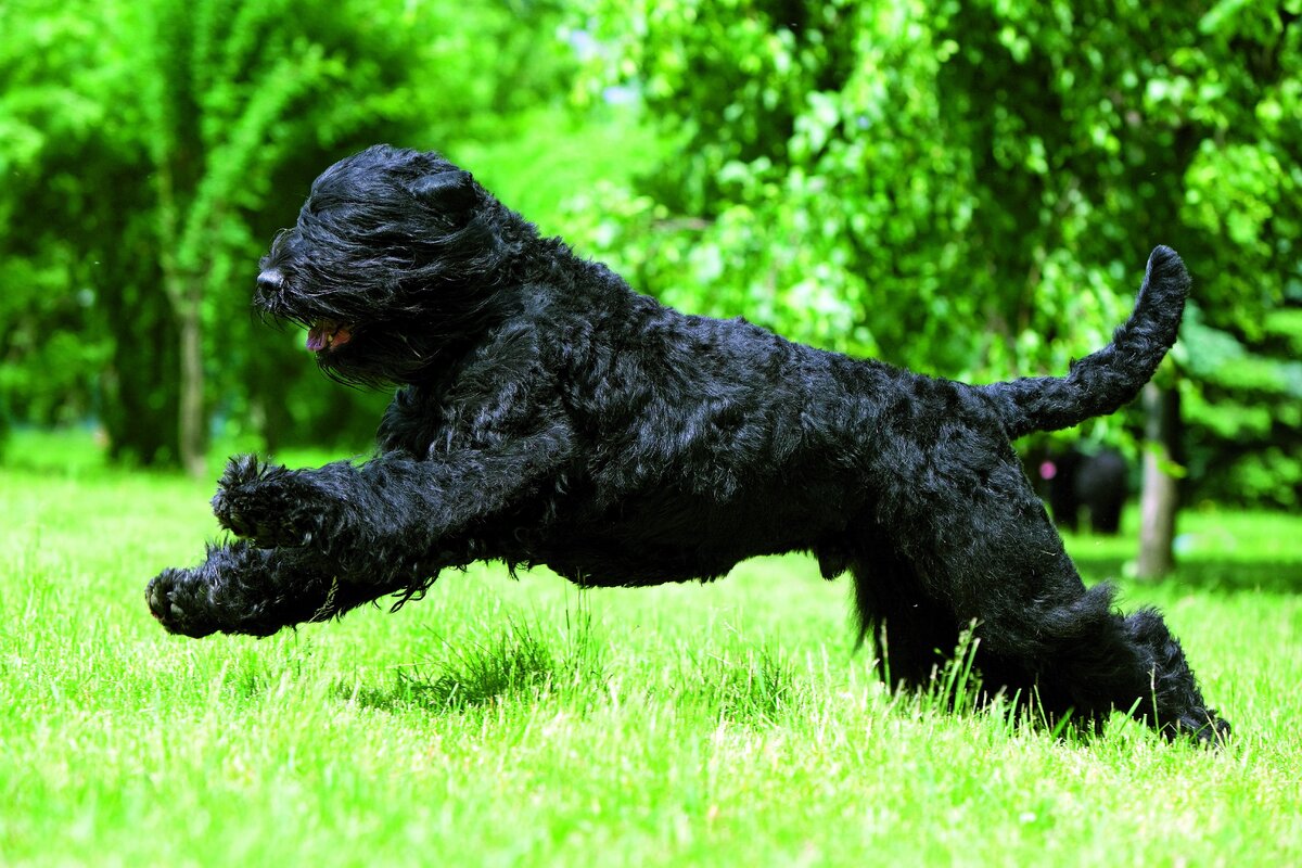 Источник https://www.pinterest.co.uk/pin/414753446915245397/