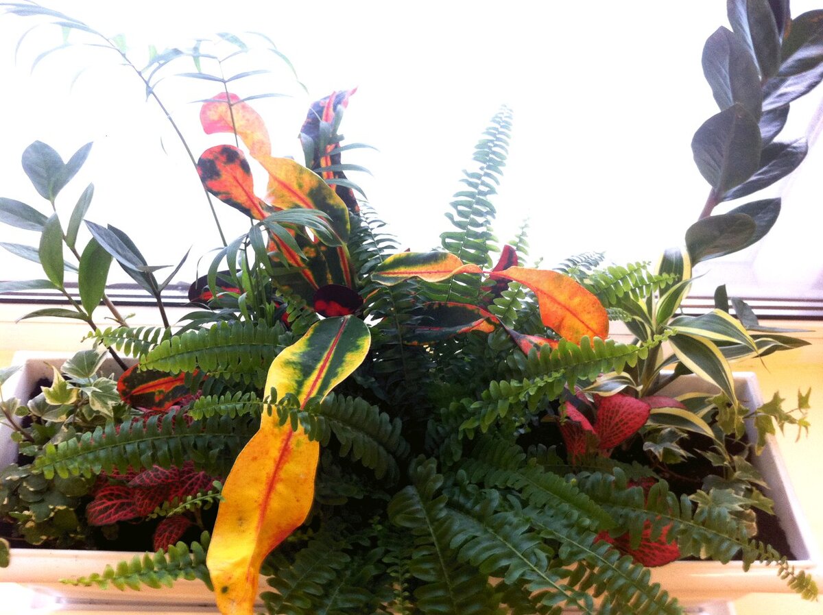 Цветочная композиция своими руками 