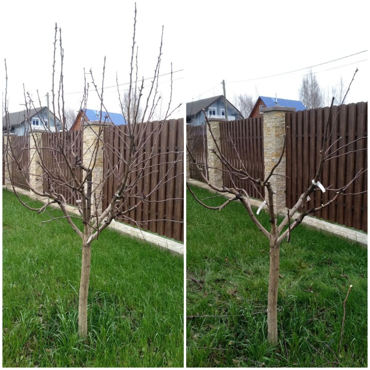 Фотография и работа автора 