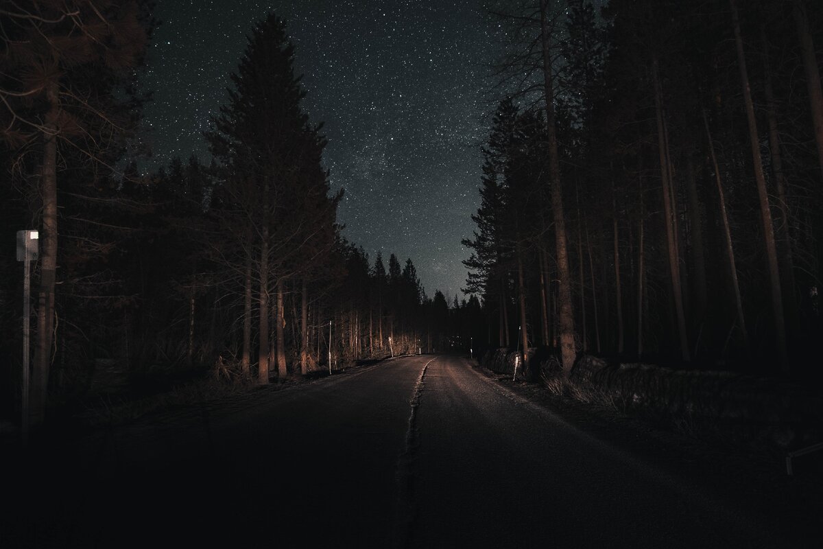 (изображение с https://unsplash.com/)