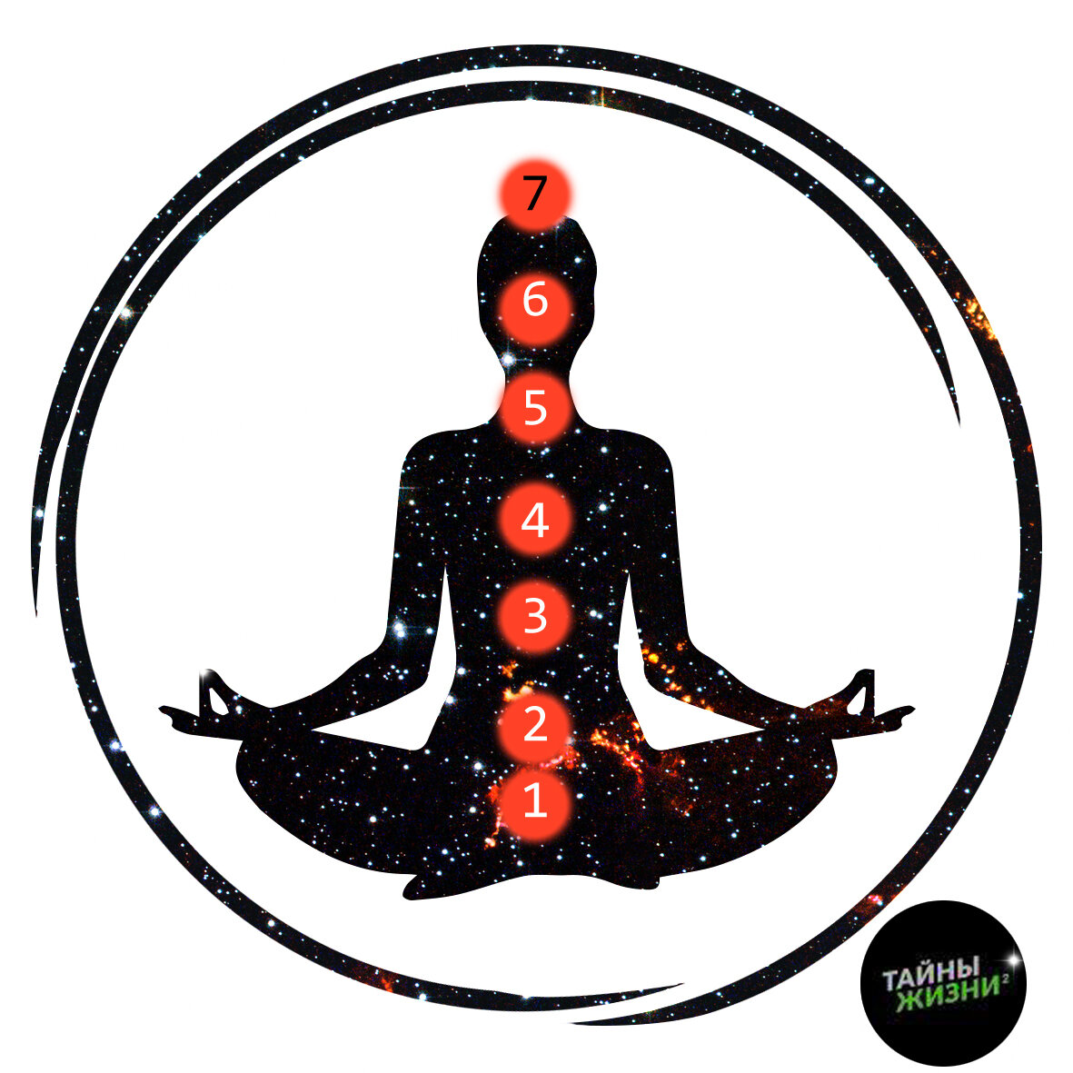 Каждая из чакр отвечает за свой спектр программ в жизни человека и связана с определёнными органами и системами.- П.Круць