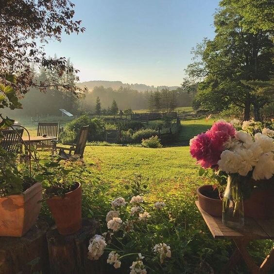 Локация из города Цветос