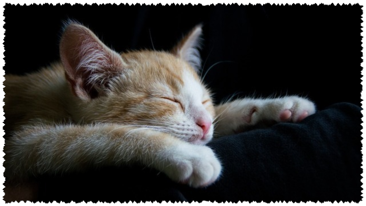 Спи как положено.