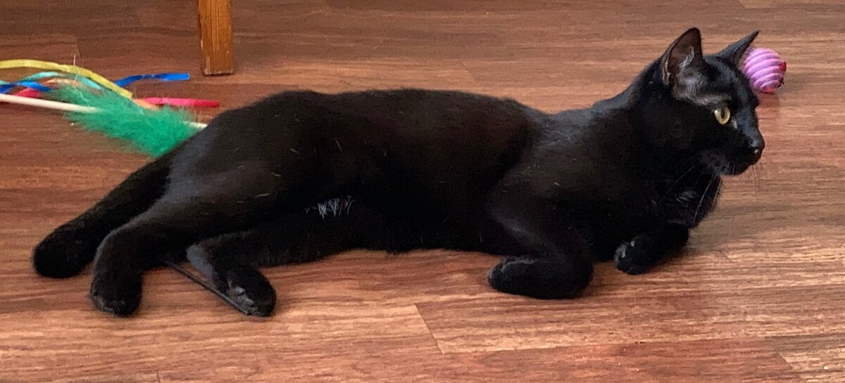 Отдых после игр