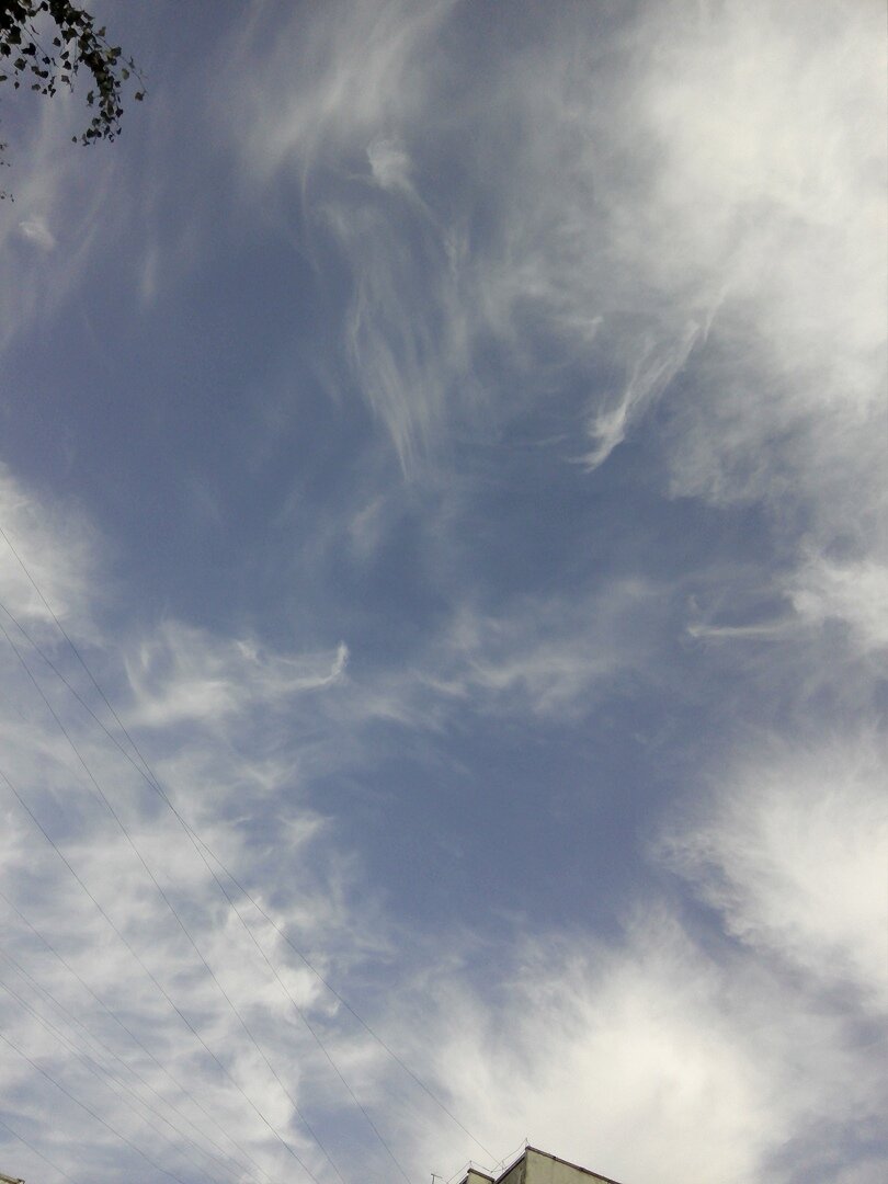 Ветер перемен :) :) Фото автора