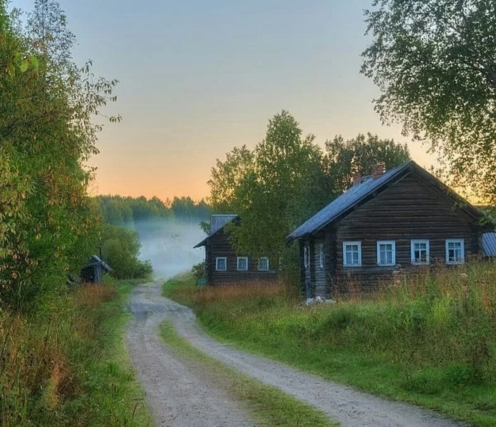 Фото из интернета 