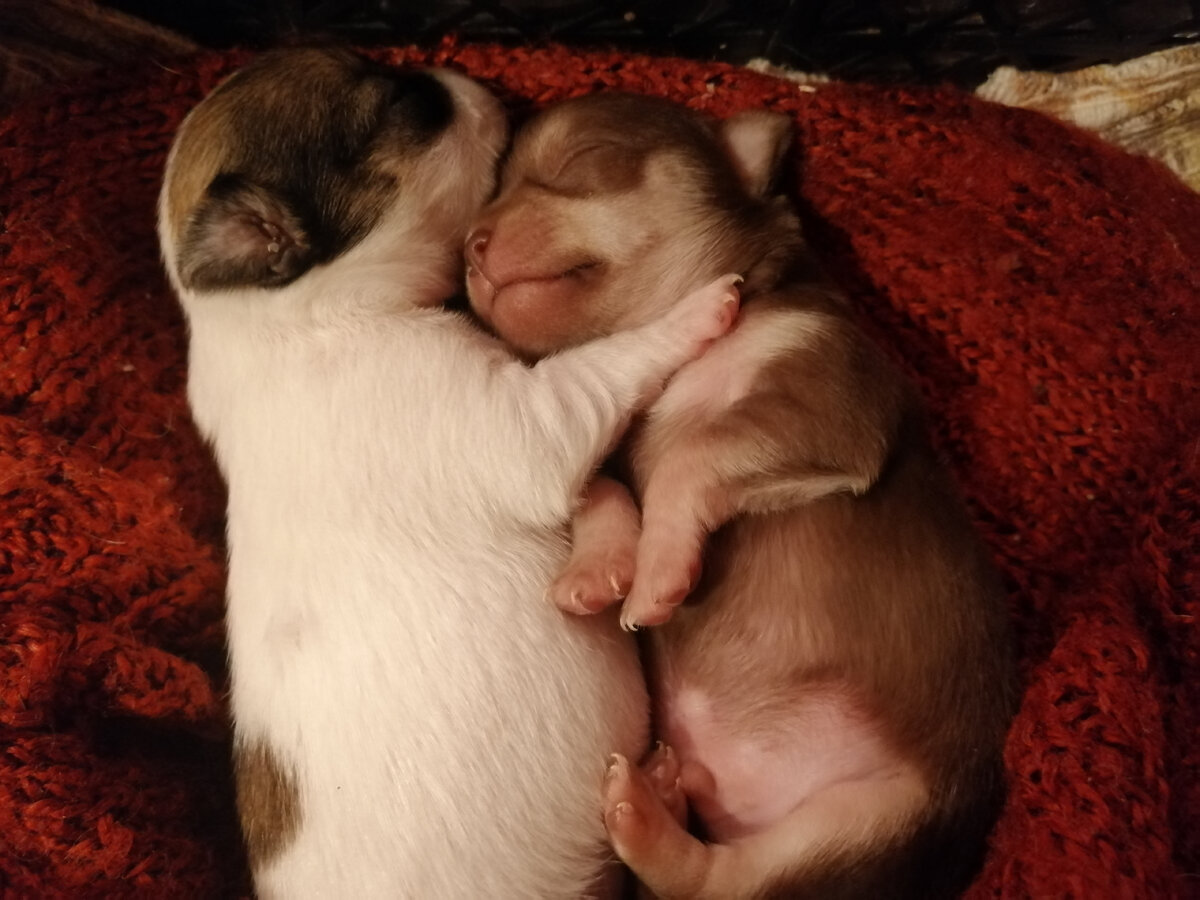 Сестра с братом. 