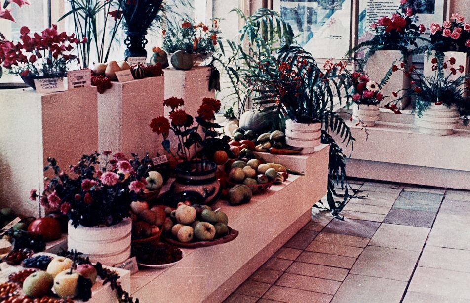 1987 год. Источник: https://admomsk.ru/web/guest/city/birthday/flora/photos/-/asset_publisher/MtR0/content/325577