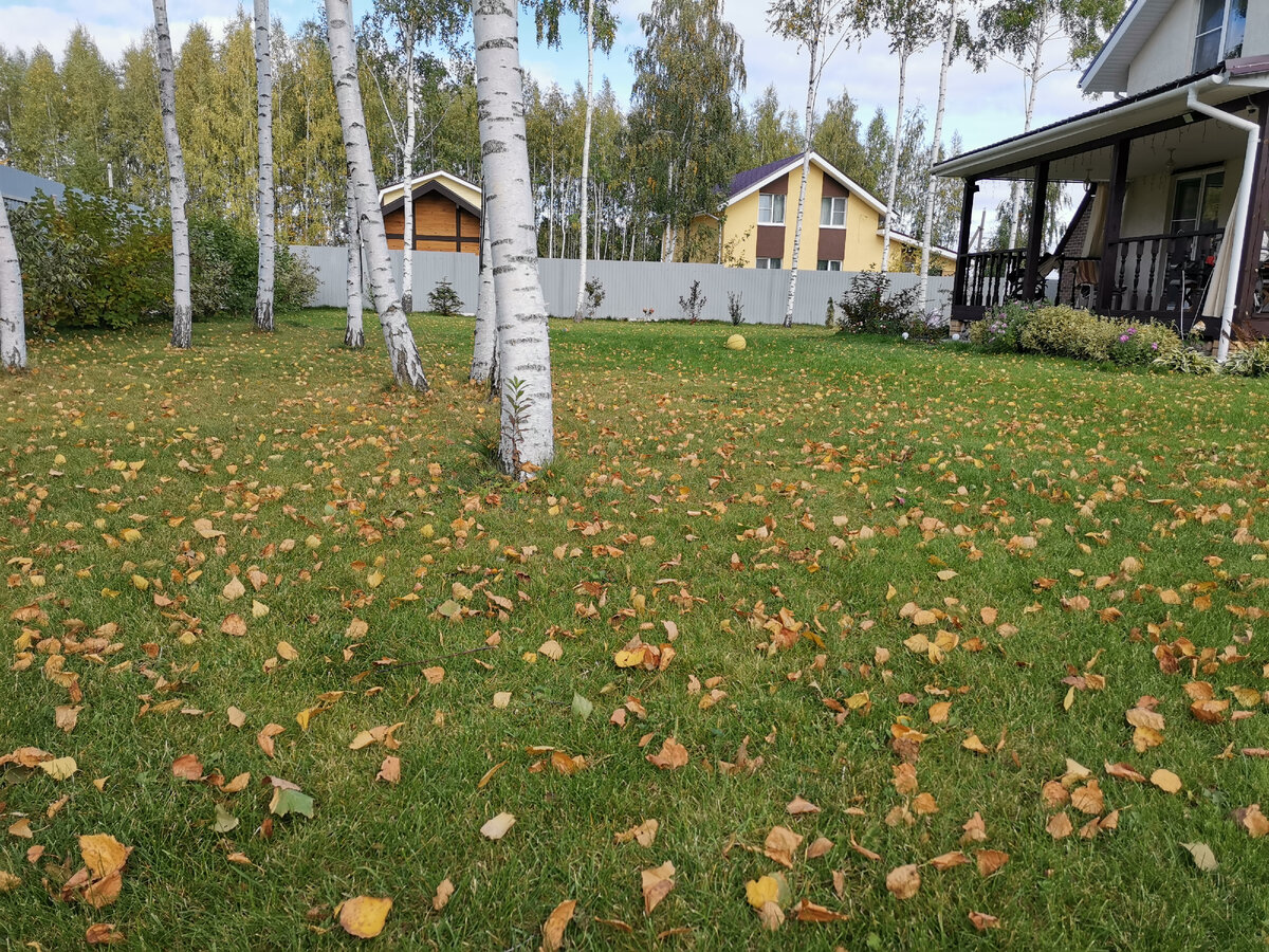 Наш участок, октябрь 2021