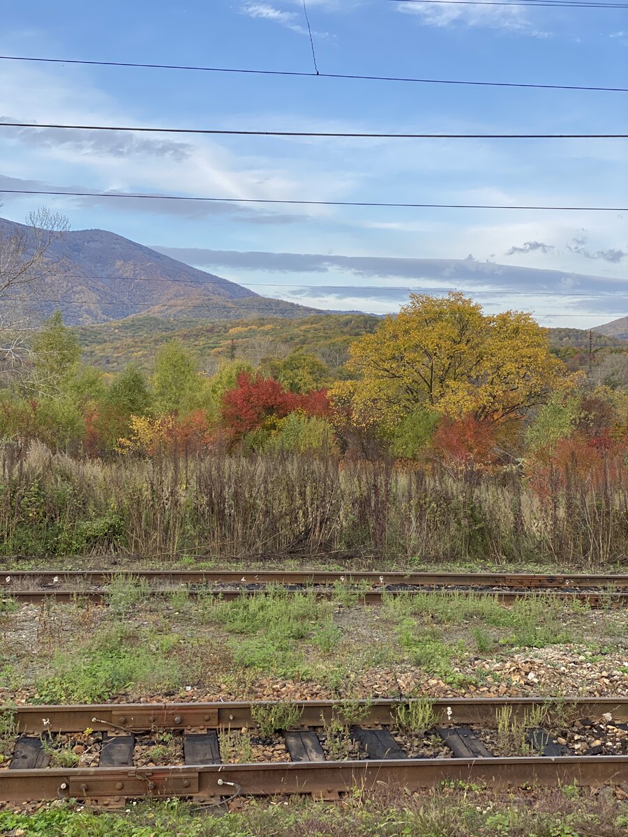 Осенние краски