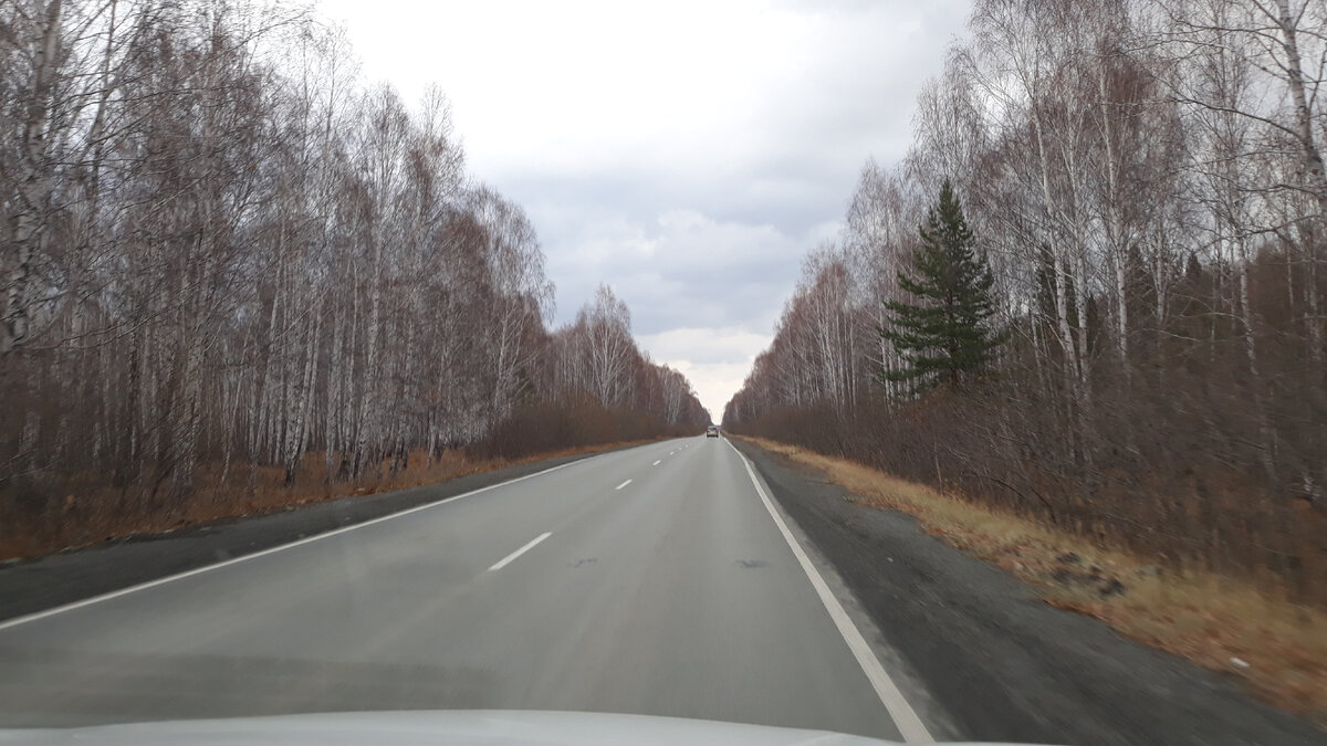 Дорога Озерск - Метлино. Впереди ось ВУРС.