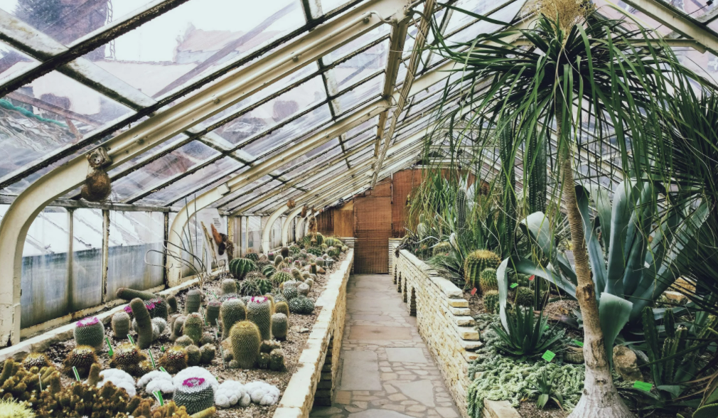 Фотография взята из источника rublevka24.ru