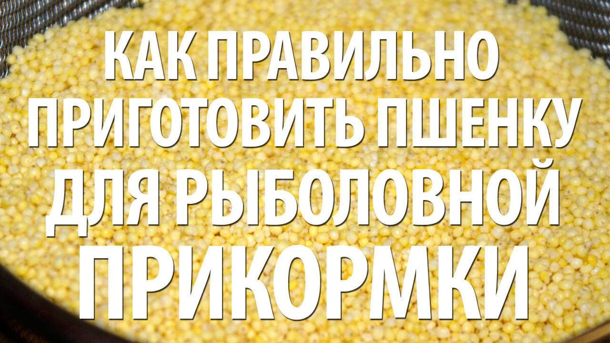 Правила выбора и использования пшена на рыбалке | Рыбалка Лучший отдых |  Дзен