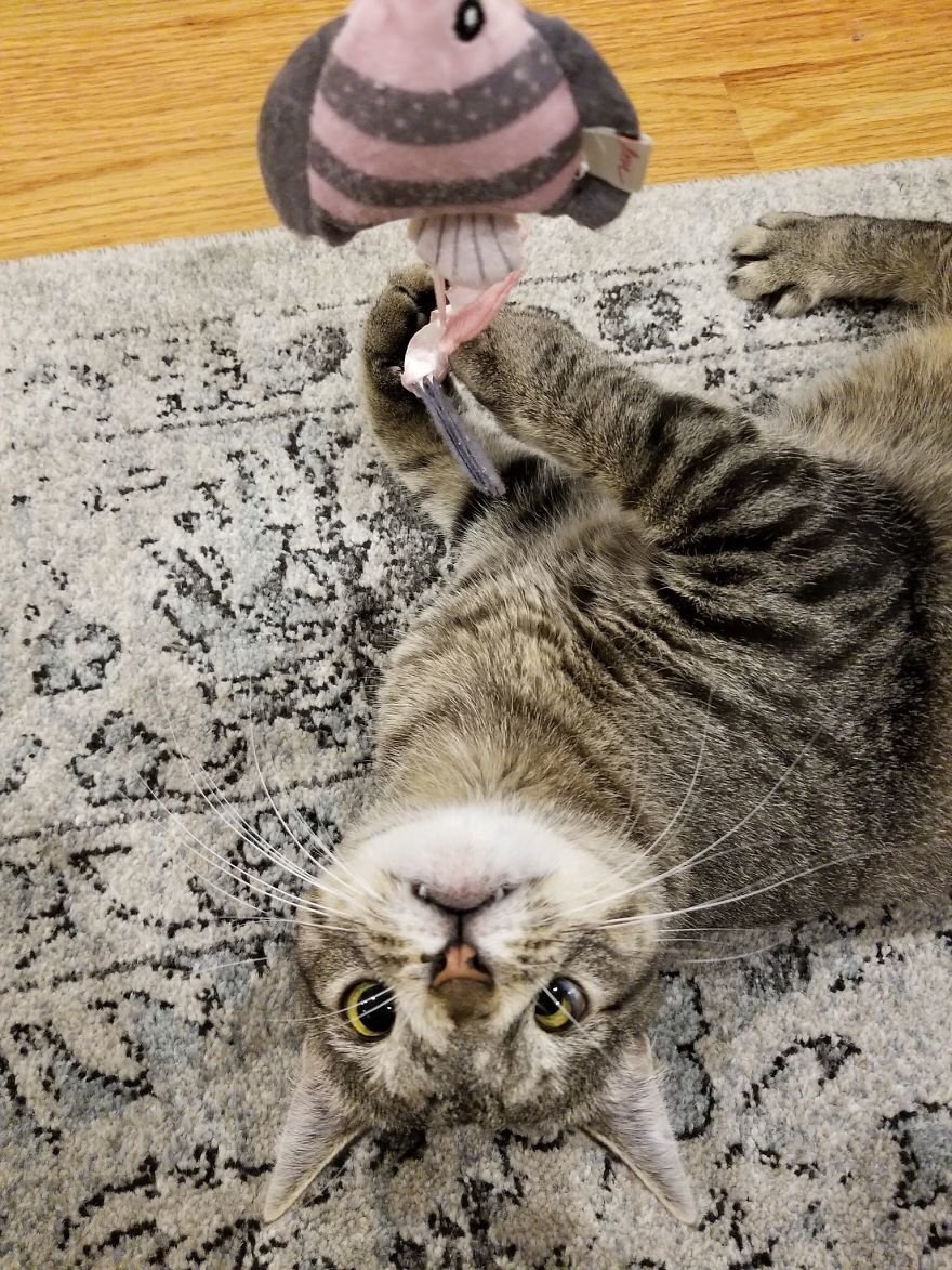 Фото из открытых источников.