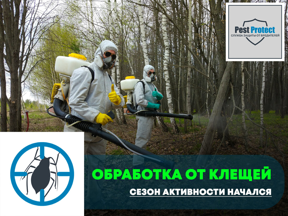 Обработка от клещей и комаров в Ульяновской области