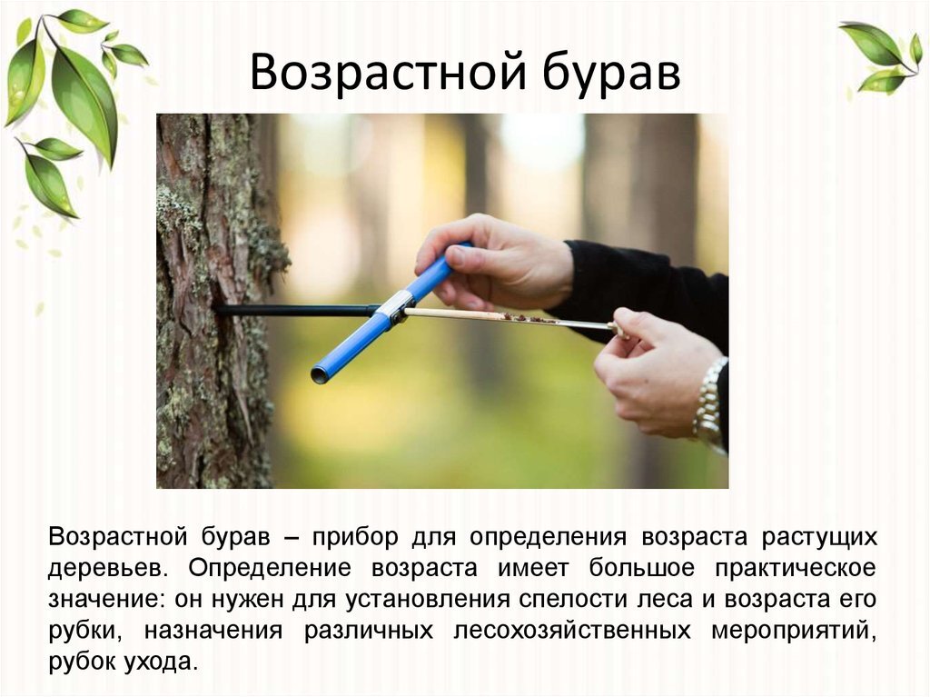 Фото с сайта https://ppt-online.org/354154