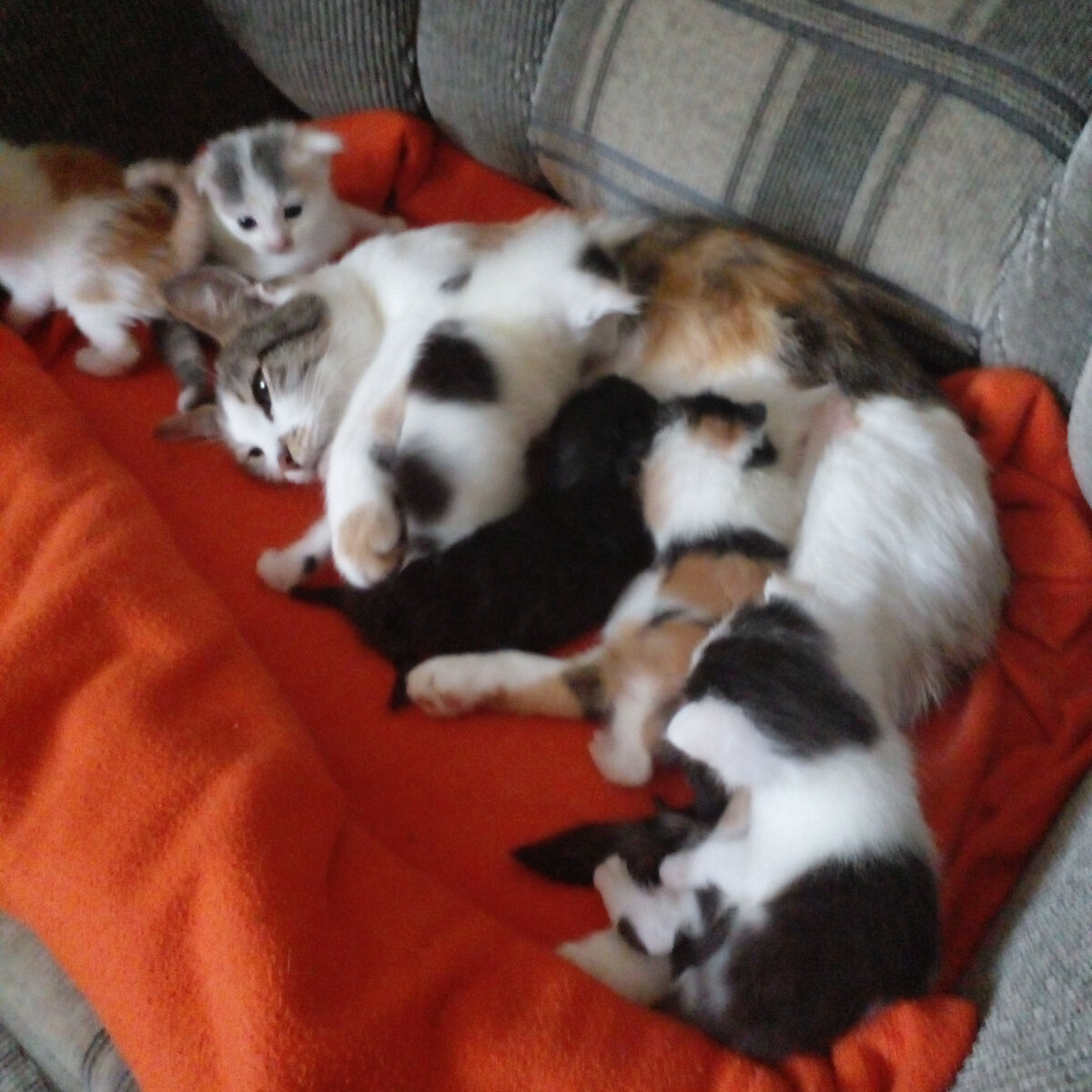 Фото из личного архива.