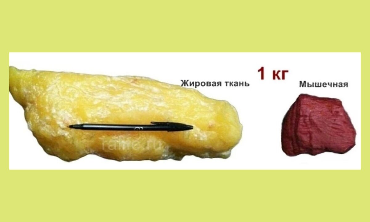 1 кг жира на теле