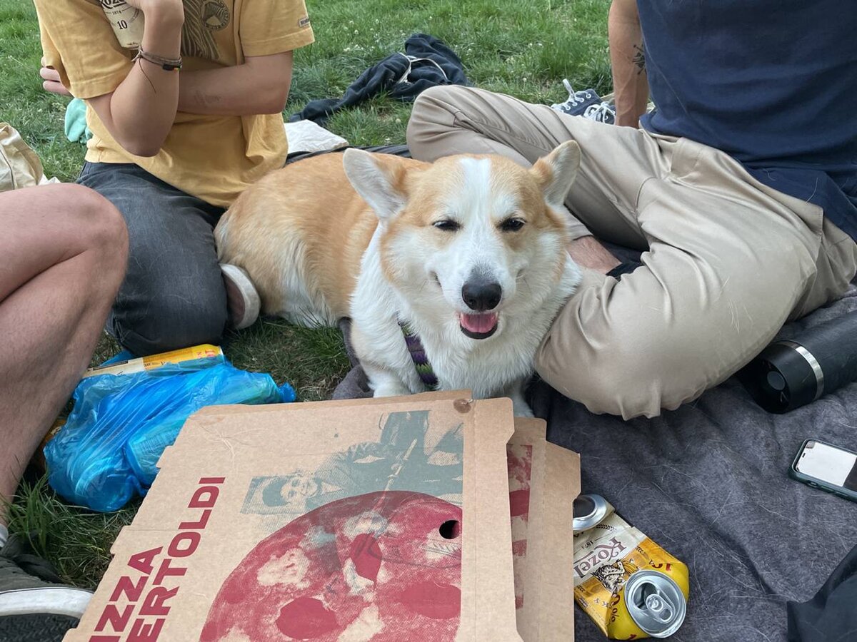 Хантер в кругу друзей