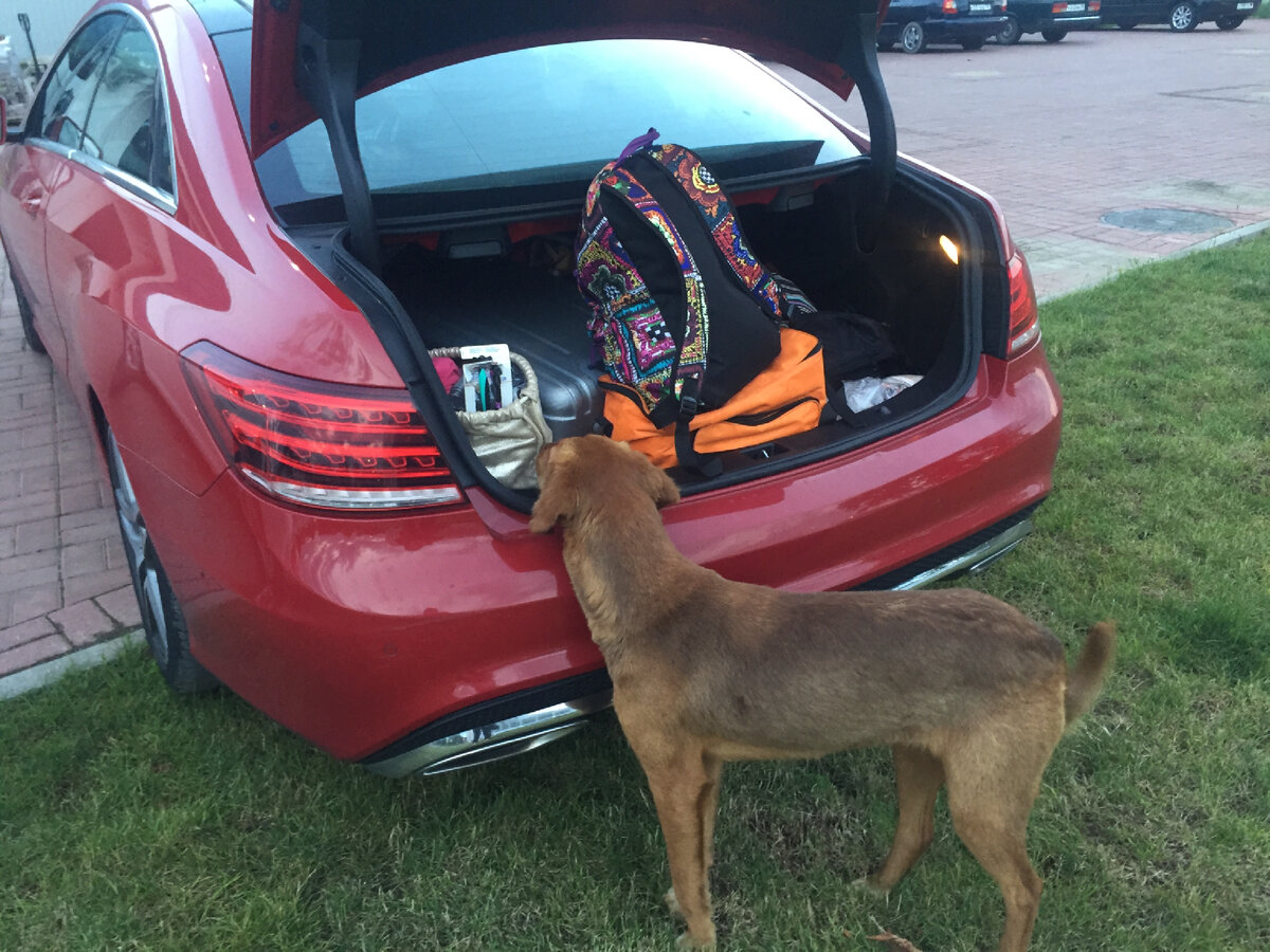 Парковка у отеля"Европа" в Новой Гагре