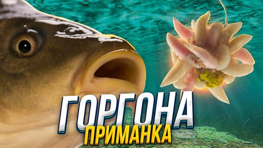 ГОРГОНА - Божественная Приманка !!