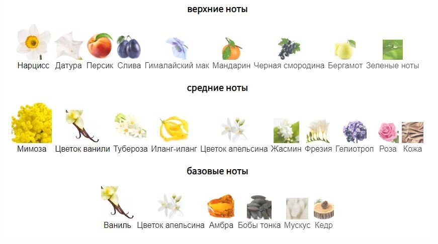fragrantica.ru
