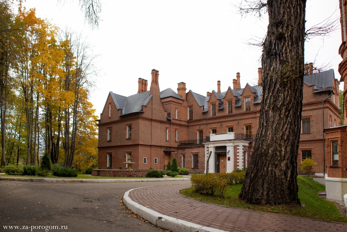 Усадьба Васильевское Щербатовых(Одна из самых красивых Усадьб) | Старинные  Замки России | Дзен