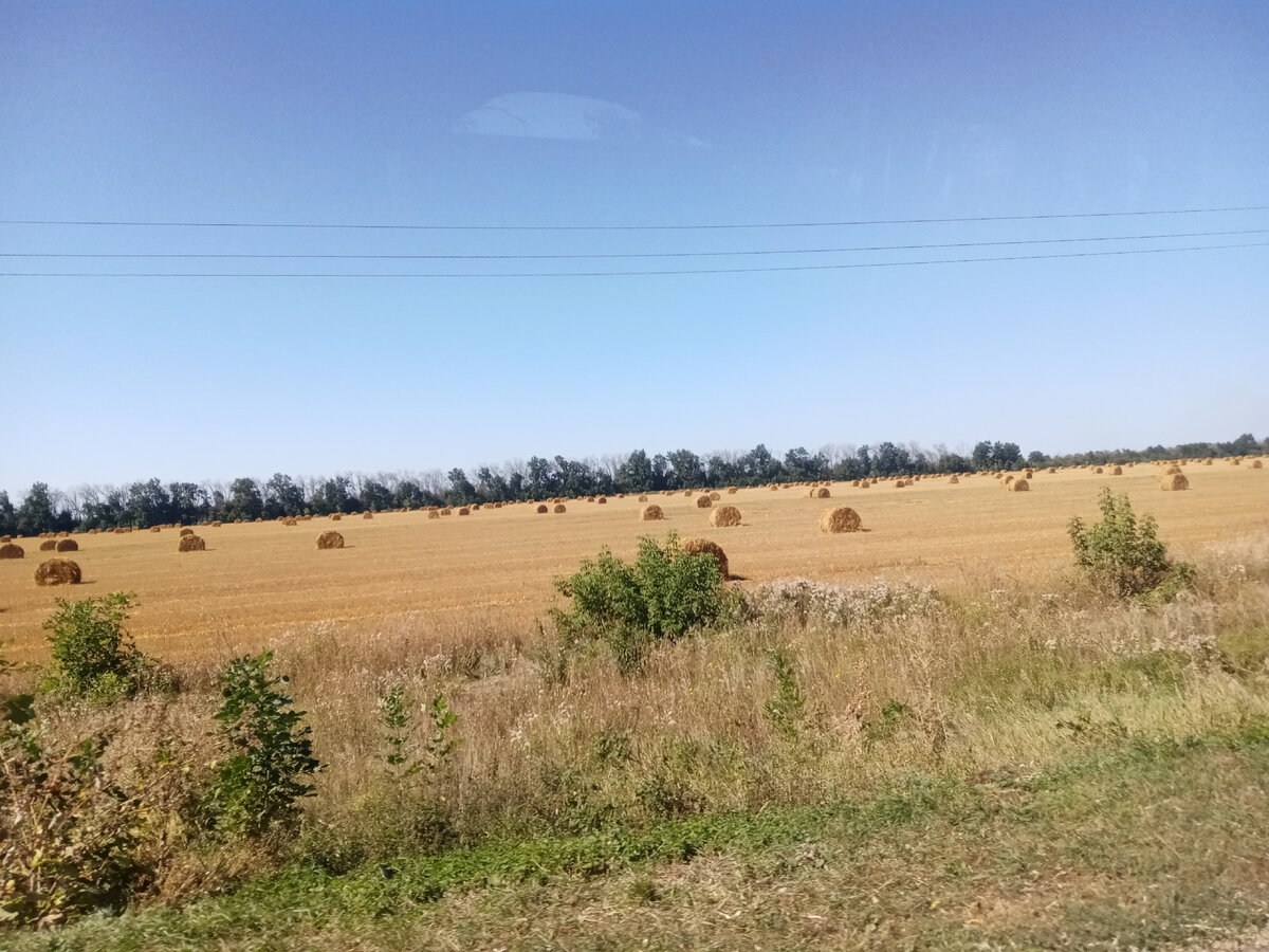 это у нас такая красота