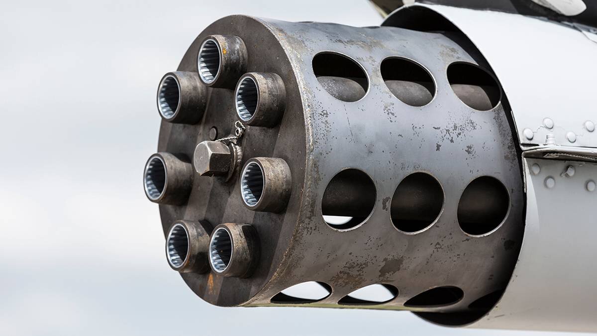    Фото: shutterstock