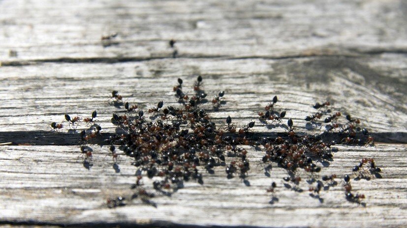   globallookpress.com Giovanni Guarino/imageBROKER.com