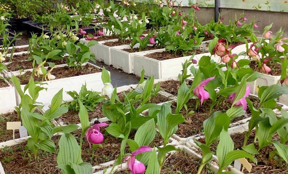    Фото: пресс-служба ННГУ им. Н.И. Лобачевского