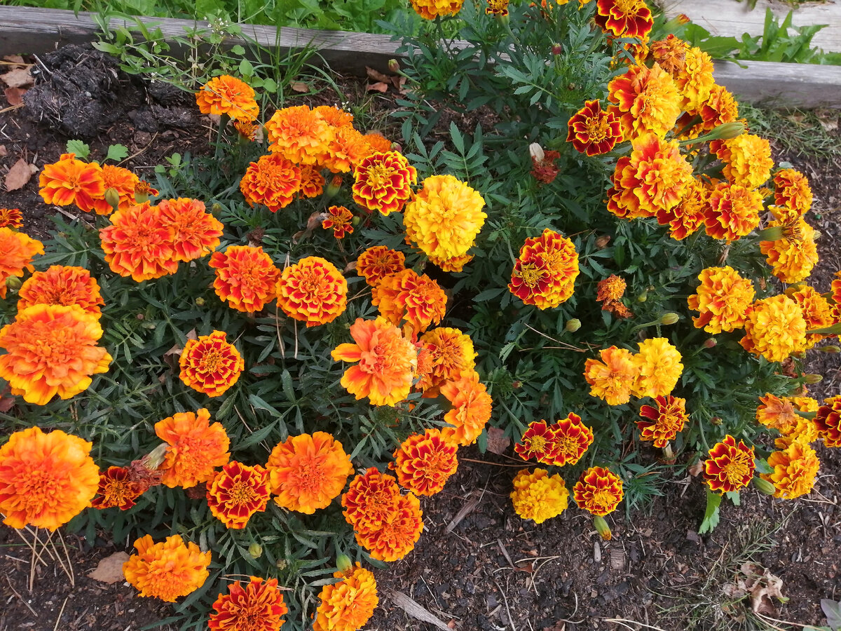 Листайте галерею, ещё больше фото там