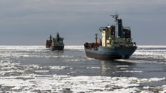    Власти Индии заявили о стремлении развивать Севморпуть вместе с Россией Роман Захаров