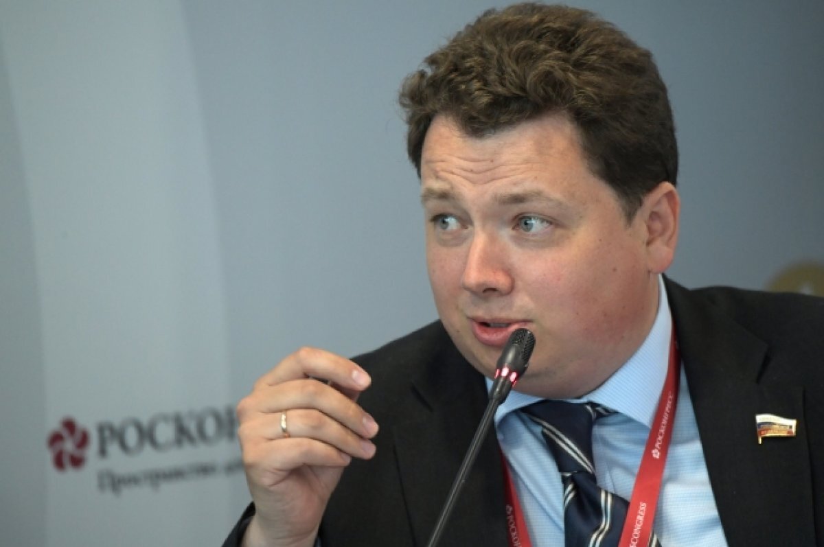    Сенатор Шендерюк-Жидков предостерег Литву от размещения военных ФРГ