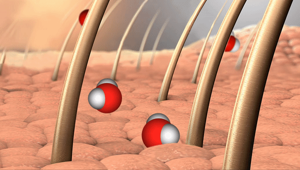 Так художник представляет себе молекулы воды в процессе парения