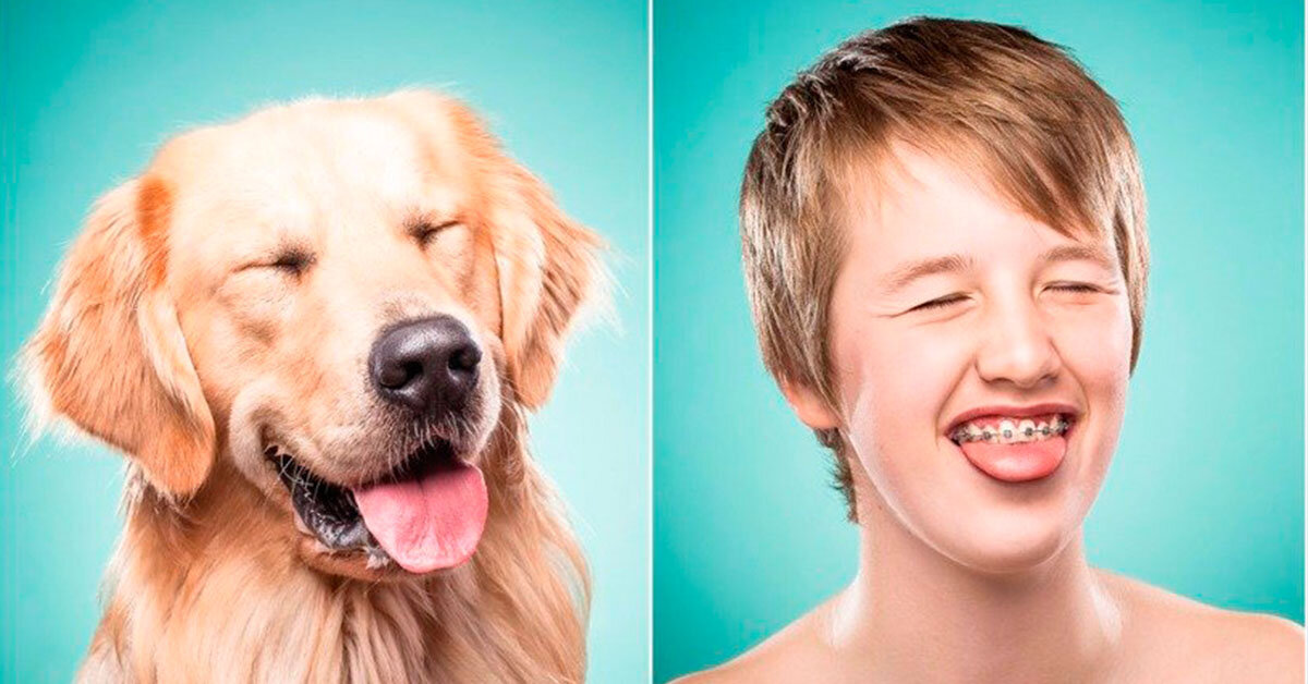 Собака и мальчик