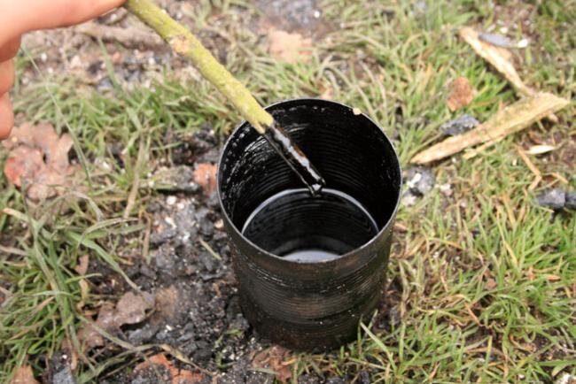 Внешний вид дёгтя