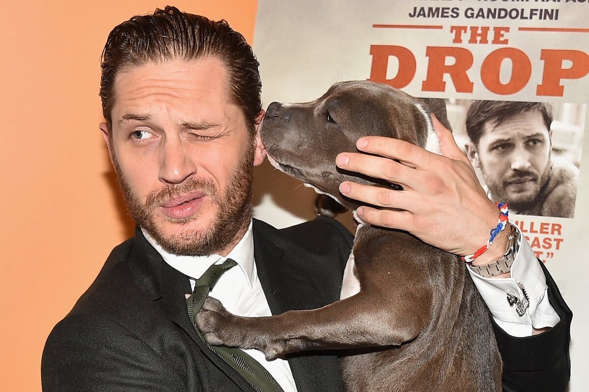 Tom Hardy Audi