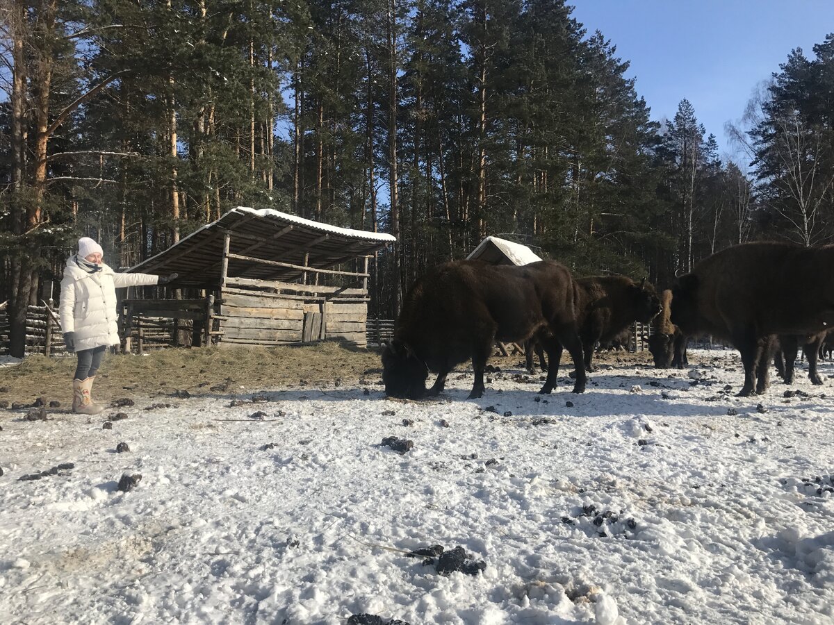 орловское полесье отдых