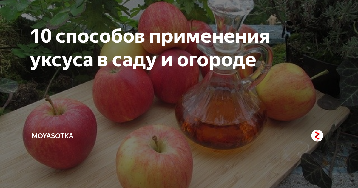 Отрава для сорняков. Раствор от травы и сорняков. Борьба с сорняками химическими средствами. Уксус от сорняков. Средство от сорняков с солью и уксусом.