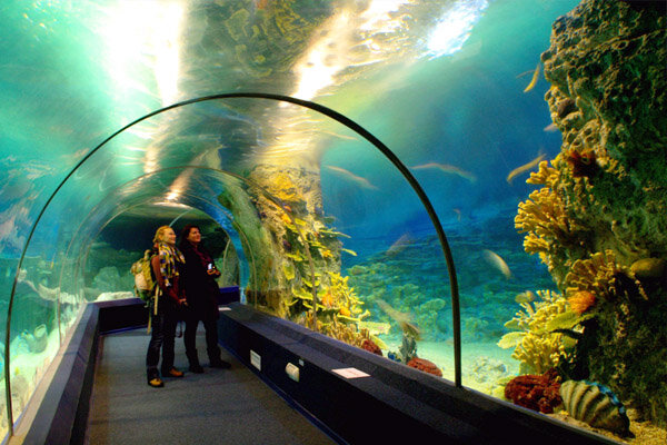 Краснодарский Океанариум "OceanPark "