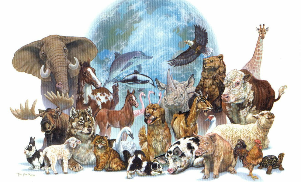 Мир животных праздник