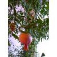 фото из личного архива