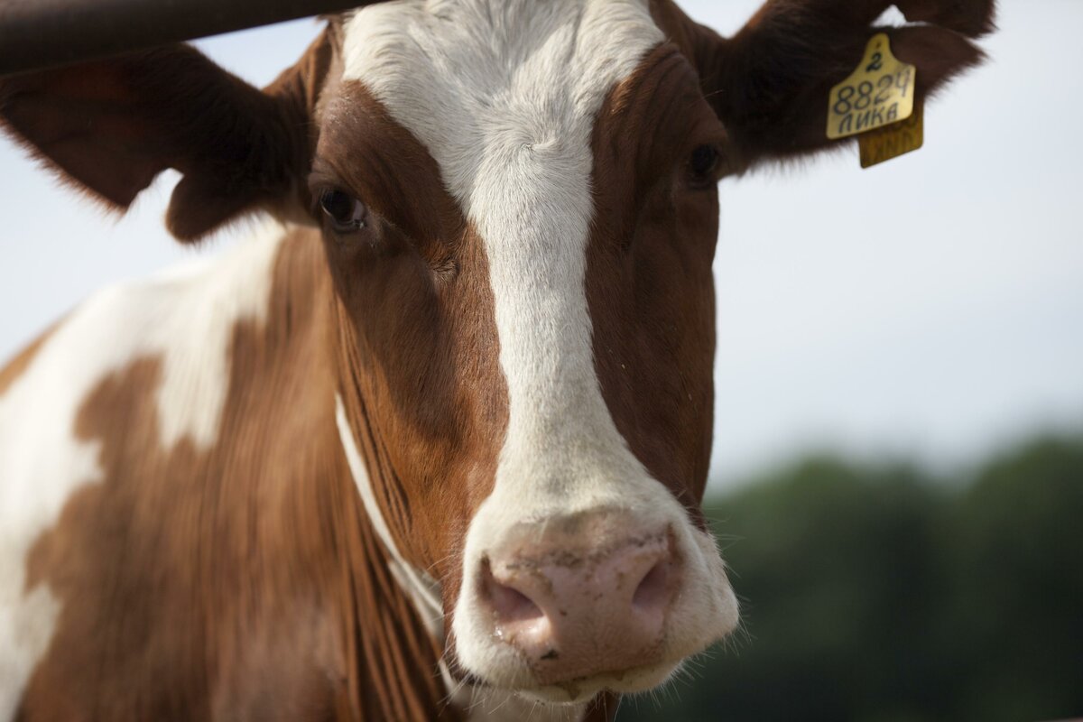 Фото: globallookpress.com