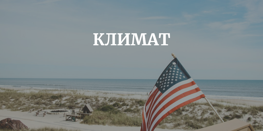 источник фото https://yandex.ru/images