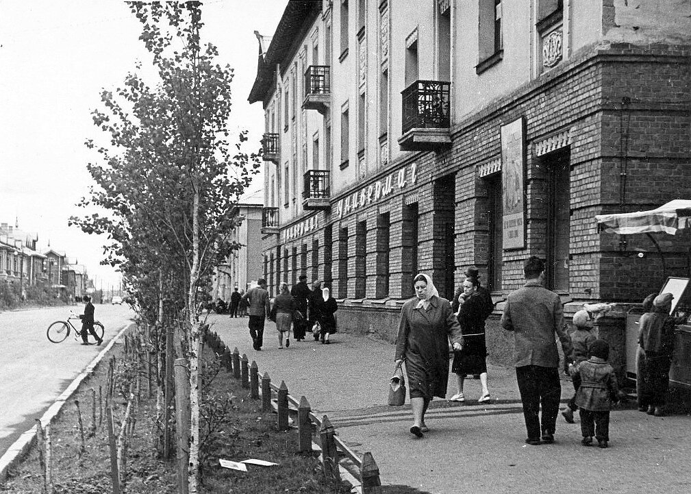 Молодые деревья на улице Кирова. Фото из фондов "Интинского краеведческого музея"